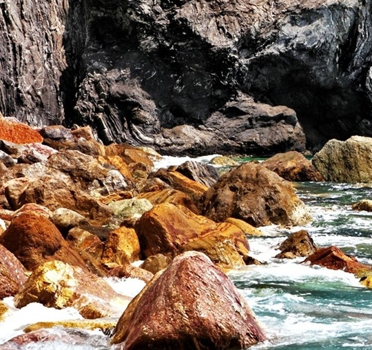 河南工商一站式服务