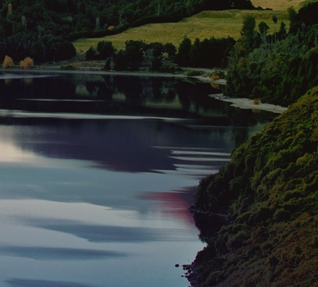 粉象生活怎么做才有收益