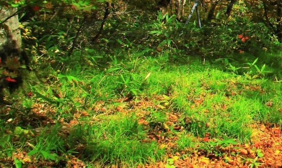 田昊粉象生活创始人微信