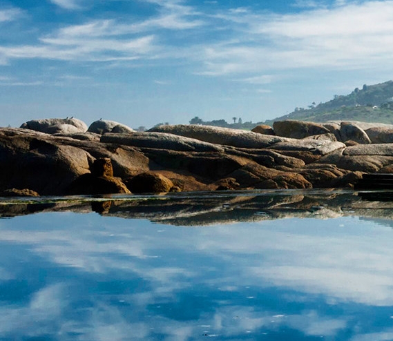 粉象生活官网首页
