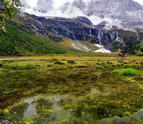 福建加盟粉象生活app