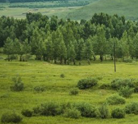 粉象生活建立于什么时候