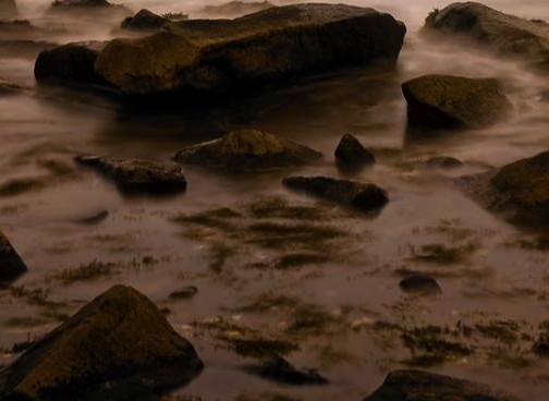 粉象生活怎么推广引流加粉丝