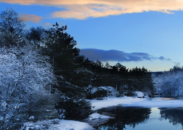 省钱购物粉象生活