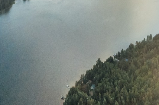 粉象生活邀请人专业码