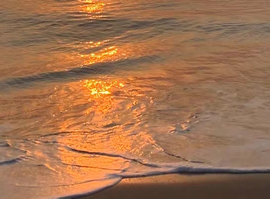 粉象生活升级vip会员1年到期