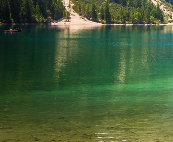 粉象生活的亮点