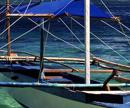 福建正规粉象生活好不好