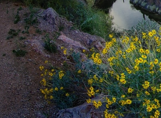 粉象生活卖产品