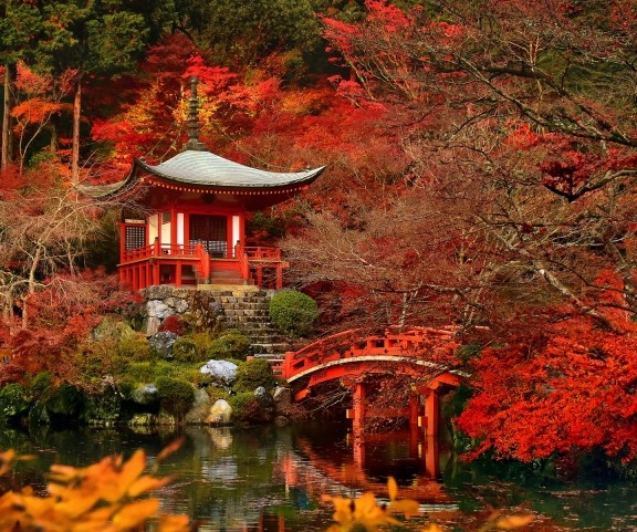 粉象生活要钱吗