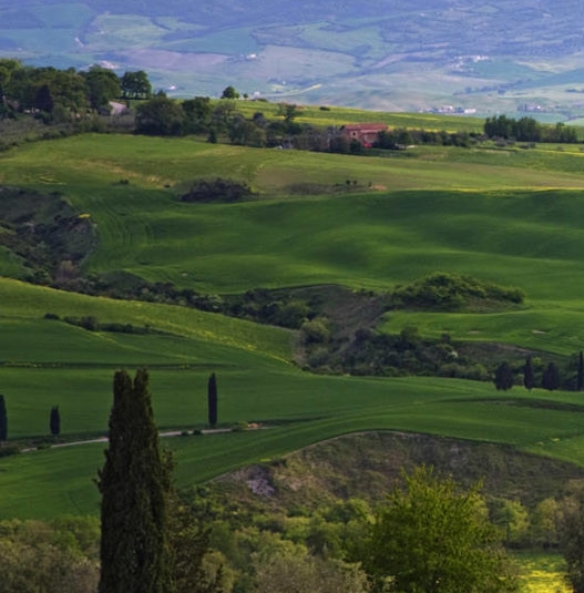 吉林一站式粉象生活
