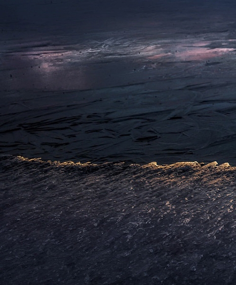 粉象生活招商怎么做