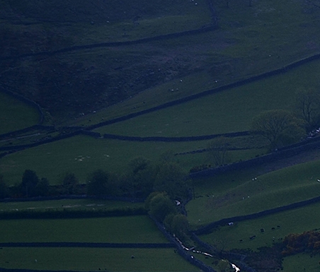 一淘和粉象生活哪个返利高