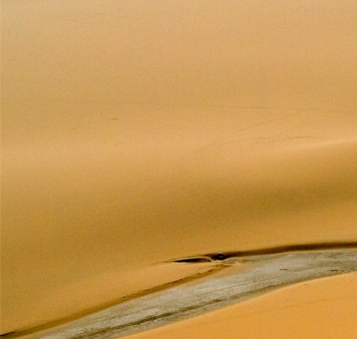粉象生活怎么助力粉象生活