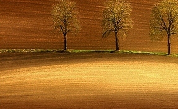 粉象生活邀请码