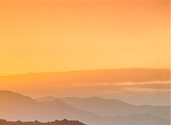 江西运营粉象生活软件