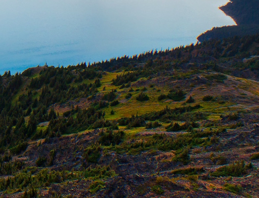 粉象生活要交押金吗