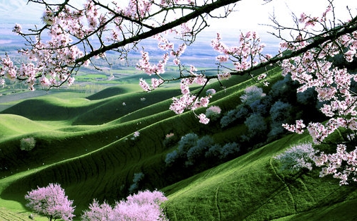 粉象生活粉丝怎么增加