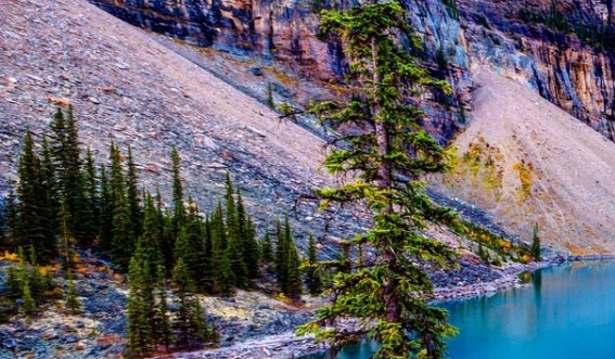 粉象生活怎么给商家推广