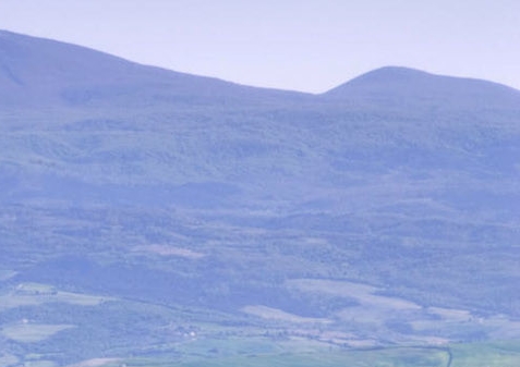 粉象生活里的好友怎么加