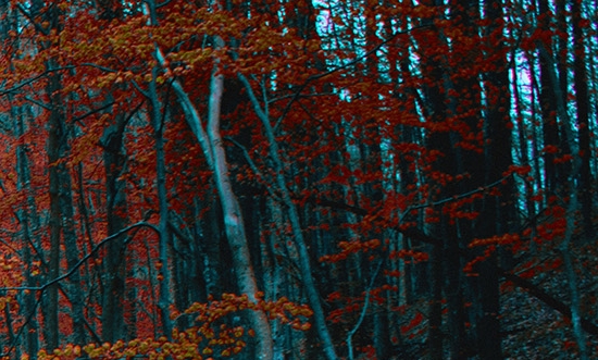 粉象如何升级vip