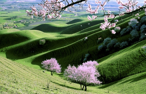 粉象生活团队哪个好