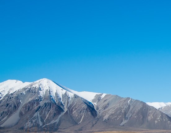 象群保护小象宝宝