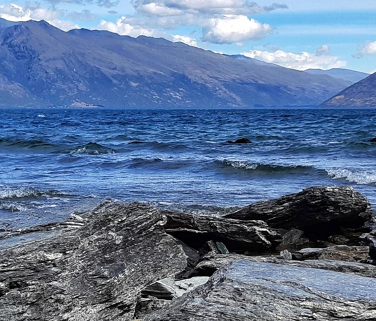 官方自动回复内容