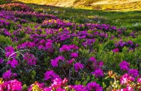 粉象生活提现要手续费吗