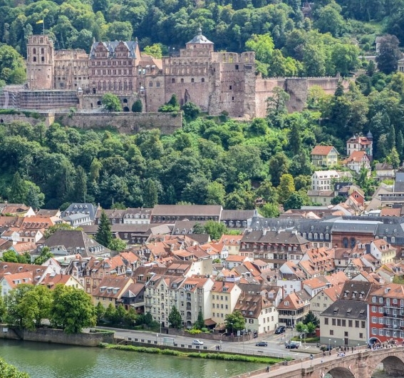 粉象生活是真的假的