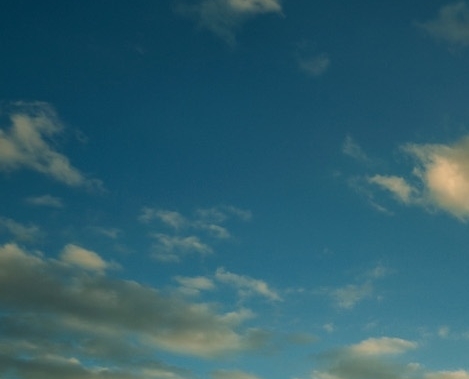 粉象生活下载app