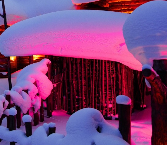 粉象生活可以赚钱吗