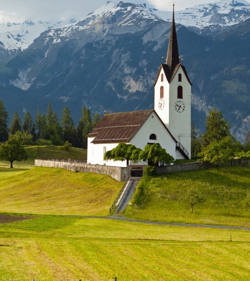 粉象生活学员真实收入