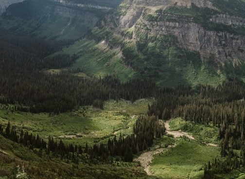 粉象生活是正规软件吗