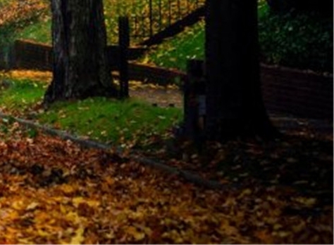 粉象生活里怎么加微信好友