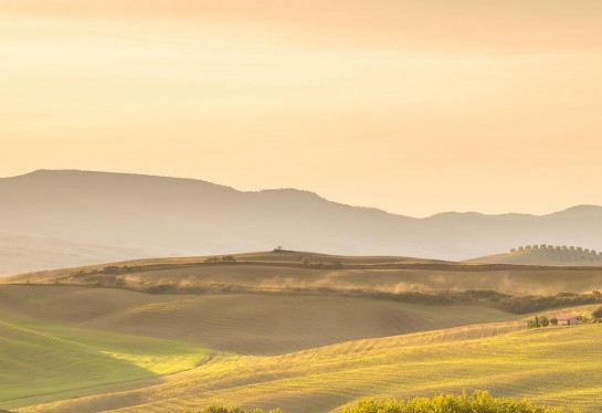 粉象生活怎么盈利
