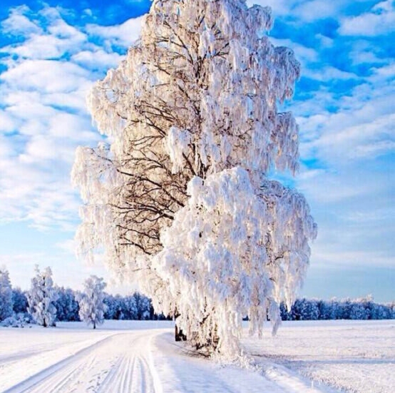 粉象生活怎么改邀请码