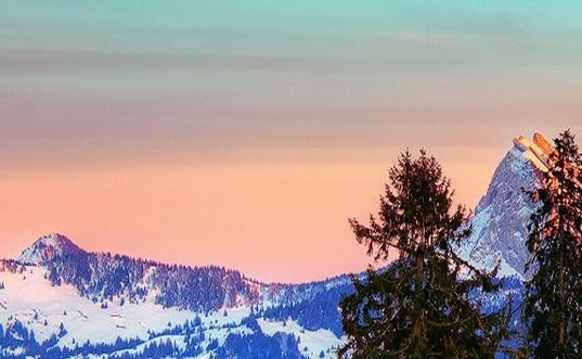 淘宝联盟跟粉象生活佣金比较