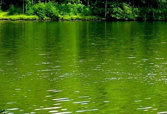 衢州生活成本高吗