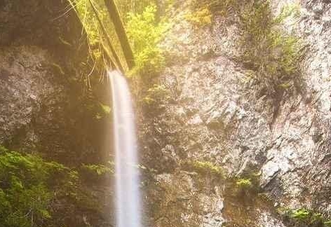 粉象生活是什么?