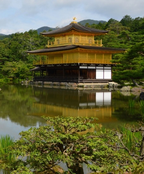 粉象生活办信用卡好通过吗