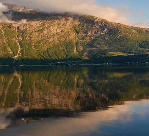 粉象生活vip收益