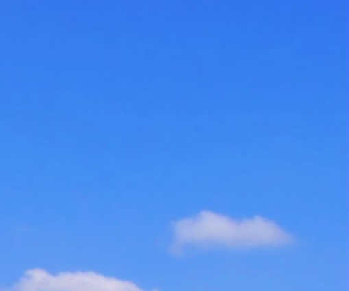 粉象生活受邀有邀请码吗