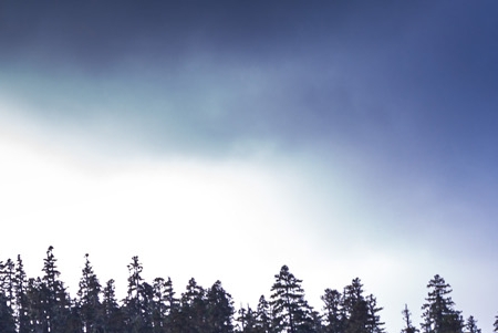 粉象生活介绍文本