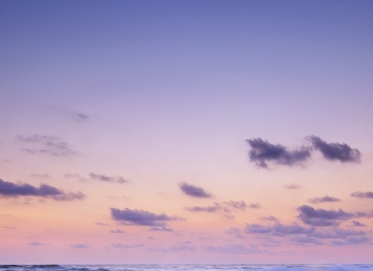 山东运营粉象生活app