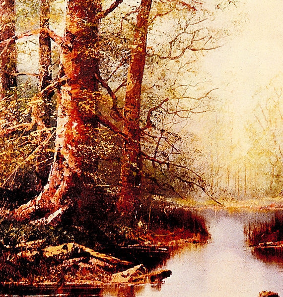 上海高端粉象生活好不好