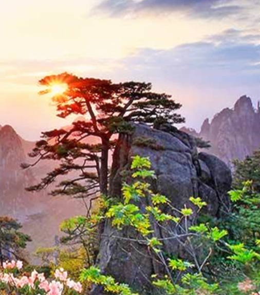 田昊被踢出粉象生活