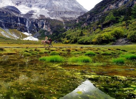 粉象生活开通抖音粉象生活