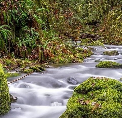 粉象生活下载app