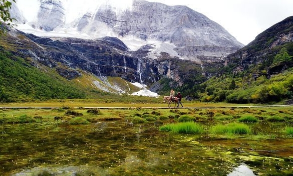 粉象生活兼职合作
